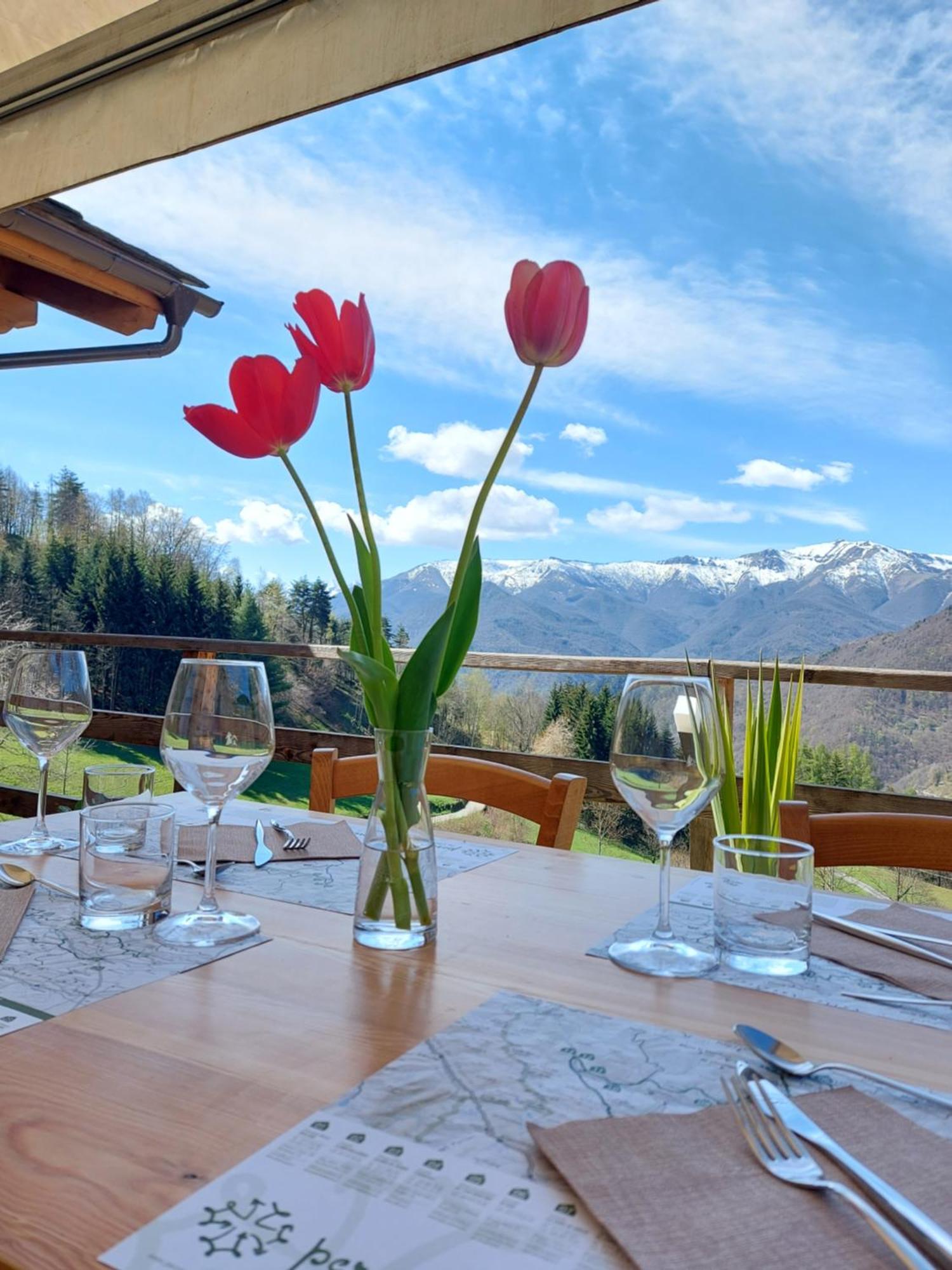 Locanda Il Campo Della Quercia San Damiano Macra Eksteriør billede