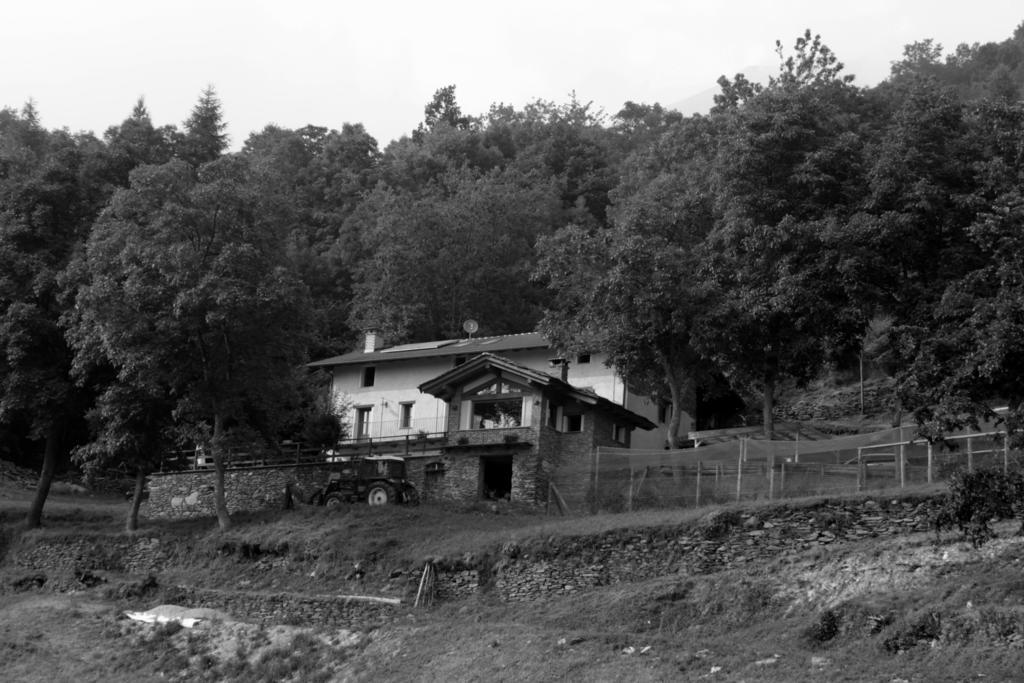 Locanda Il Campo Della Quercia San Damiano Macra Eksteriør billede